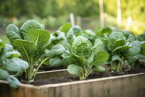 ai généré Frais biologique Bruxelles choux croissance dans le jardin. croissance posséder des fruits, des légumes. ai généré photo