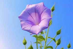 ai généré Matin gloire fleur avec bleu ciel. ai généré. photo