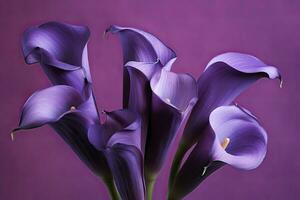 ai généré bouquet de violet calla fleurs de lys contre violet fond.ai généré photo