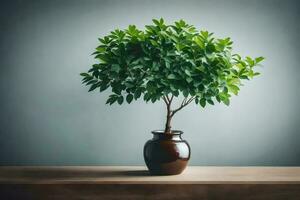 ai généré une mis en pot plante sur une table photo