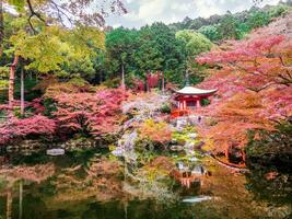 magnifique et multi couleurs de érable des arbres à daigoji temple avec étang sur anse bleu ciel Contexte. daigoji temple est le un important Japonais temple de le shingon secte de Japonais bouddhisme. photo