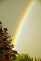 arc en ciel contre foncé menaçant ciel photo