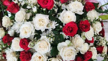 magnifique rouge et blanc des roses dans une de mariée bouquet. photo