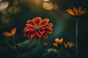 ai généré Orange fleurs dans le Soleil avec bokeh photo