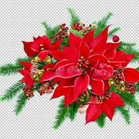 Noël arbre branches dans une vacances et rouge poinsettia fleur isolé sur blanc ou transparent Contexte photo