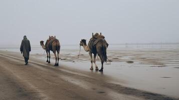 ai généré solitaire nomade de premier plan chameaux sur une brumeux Matin randonnée à travers le vaste lit de rivière de le saharien faubourgs, expérience le intemporel périple de traditionnel caravanes photo