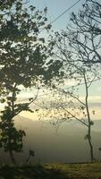 magnifique lever du soleil plus de le Montagne intervalle à gorontalo, Indonésie. duveteux des nuages sur une brillant bleu ciel. la nature fraîcheur concept photo