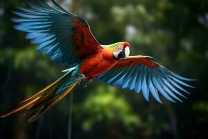 ai généré en volant ara perroquet, coloré amazone ara perroquet contre jungle, faune et forêt tropicale exotique tropical des oiseaux ai généré photo