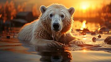 ai généré une photo de une polaire ours échoué sur une rapidement fusion la glace banquise dans le Arctique océan à lever du soleil. génératif ai