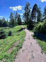 une saleté route dans le milieu de une herbeux champ photo