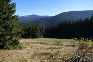 monter hoverla pendaison de pointe de le ukrainien Carpates contre le Contexte de le ciel photo