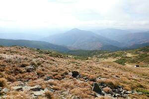 monter hoverla pendaison de pointe de le ukrainien Carpates contre le Contexte de le ciel photo