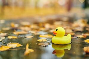 jouet de canard d'automne dans une flaque d'eau avec des feuilles photo