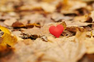 engouement ou concept d'amour romantique non partagé. photo