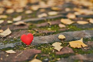 concept d'amour ou de solitude non partagé et unilatéral. photo