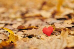 engouement ou concept d'amour romantique non partagé. photo