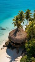 ai généré Célibataire chaume cabane sur tropical rive de au dessus avec copie espace drone vue photo