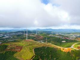 magnifique paysage dans le Matin à cau ça, da lat ville, lam dong province. vent Puissance sur thé colline, Matin paysage sur le flanc de coteau de thé planté photo