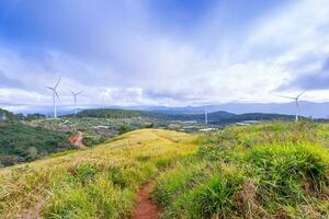 magnifique paysage dans le Matin à cau ça, da lat ville, lam dong province. vent Puissance sur thé colline, Matin paysage sur le flanc de coteau de thé planté photo