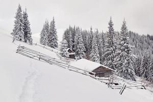 cabane en bois confortable haut dans les montagnes enneigées. grands pins en arrière-plan. berger kolyba abandonné. temps nuageux. montagnes des carpates, ukraine, europe photo