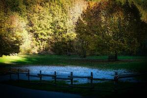 l'automne paysages de le piémontais langhe avec le brillant couleurs de l'automne dans novembre photo