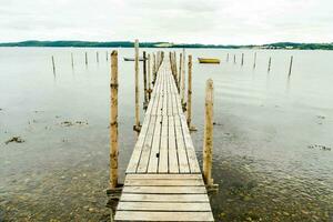 une en bois jetée dans le milieu de une Lac photo