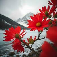 ai généré rouge fleurs sur une Contexte de neige plafonné montagnes et lac. génératif ai photo