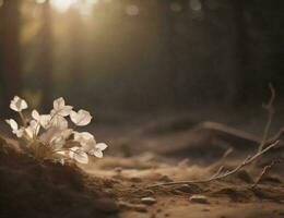 ai généré magnifique blanc fleurs dans le forêt à le coucher du soleil. doux se concentrer. génératif ai photo