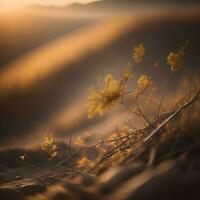 ai généré sec herbe dans le champ à le coucher du soleil. sélectif se concentrer. génératif ai photo