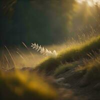 ai généré givré herbe dans le Prairie à le coucher du soleil. la nature Contexte. génératif ai photo