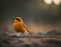 ai généré à ventre orange loriot, Phoenicurus ochruros. génératif ai photo