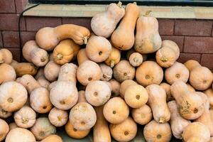 tas de butternut courges à marché dans Géorgie photo