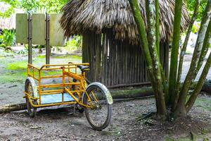 location une bicyclette tricycle balade par le jungle cobá ruines. photo