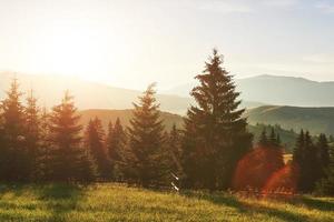 beau paysage de lever de soleil d'automne dans les montagnes des carpates, voyage en europe, ouest de l'ukraine, parc national des carpates, monde merveilleux, fond de paysage de papier peint photo