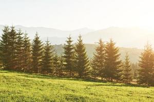 beau paysage de lever de soleil d'automne dans les montagnes des carpates, voyage en europe, ouest de l'ukraine, parc national des carpates, monde merveilleux, fond de paysage de papier peint photo