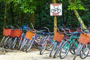 cobá quintana roo Mexique 2023 location une bicyclette signe La Flèche information planche direction dans cobá ruines. photo