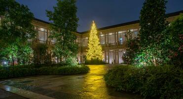 cloître avec jardin et arbre illuminé avec LED photo