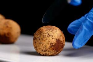 magnifique bonbons truffe dans une Couper sur une blanc assiette sur une noir Contexte photo