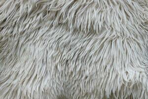 mouton fourrure texture, blanc ou gris animal motifs pour la nature Contexte photo