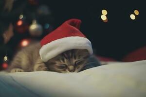 ai généré mignonne chaton dort dans une Noël chapeau. neural réseau ai généré photo