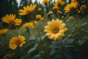 ai généré Jaune fleurs dans le Prairie à le coucher du soleil. génératif ai photo