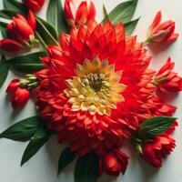 ai généré magnifique bouquet de rouge dahlia fleurs sur blanc Contexte. génératif ai photo