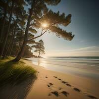 ai généré magnifique le coucher du soleil sur le plage avec le sable dunes et pin des arbres. génératif ai photo