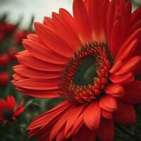 ai généré magnifique rouge gerbera Marguerite fleur dans le jardin. génératif ai photo