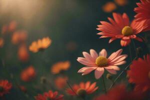 ai généré magnifique fleurs dans le jardin à coucher de soleil, ancien Couleur Ton. génératif ai photo