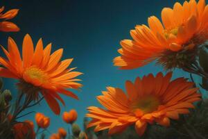 ai généré magnifique Orange fleurs sur bleu ciel Contexte. fermer. génératif ai photo