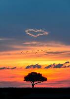 africain le coucher du soleil avec cœur dans des nuages photo