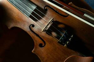 proche vue de une violon cordes et pont photo