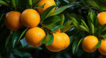 ai généré mûr des oranges sont séance suivant à une Noël arbre photo