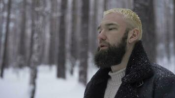 homme dans une du froid neigeux forêt photo